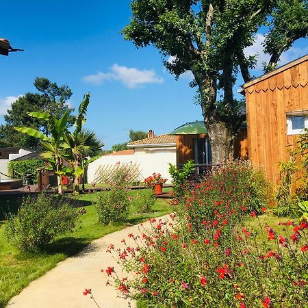 Les Petits Chalets De Kzo La Teste-de-Buch Extérieur photo