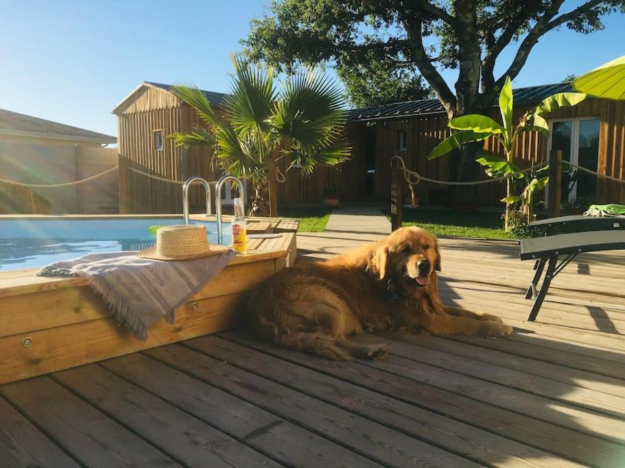 Les Petits Chalets De Kzo La Teste-de-Buch Extérieur photo